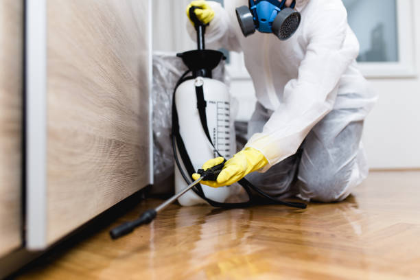 Best Bed Bug Extermination  in Dranesville, VA