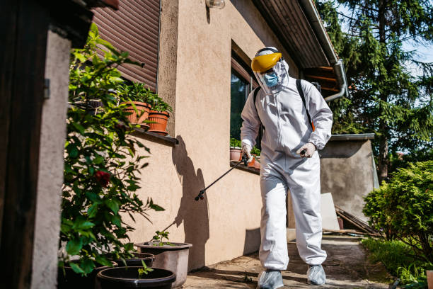 Best Termite Control Services  in Dranesville, VA