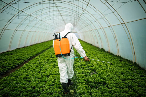 Best Commercial Pest Control Services  in Dranesville, VA