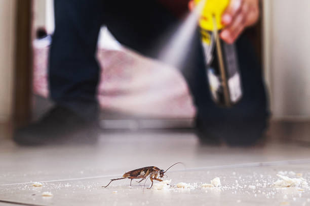 Best Mosquito Control Services  in Dranesville, VA