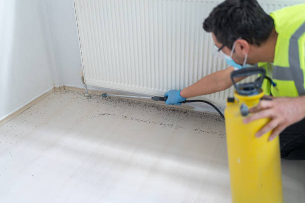 Pest Control Cost in Dranesville, VA