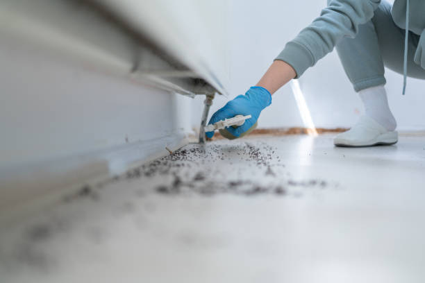 Best Pest Control for Homes  in Dranesville, VA