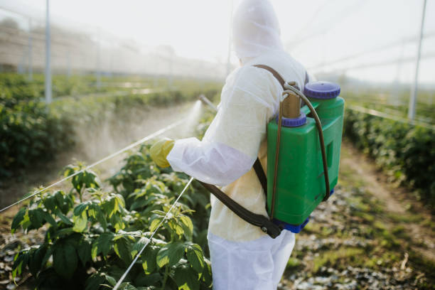 Best Affordable Pest Control Services  in Dranesville, VA